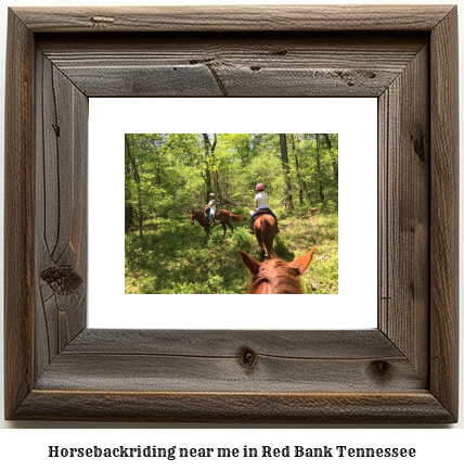 horseback riding near me in Red Bank, Tennessee